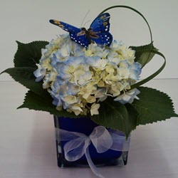 Fresh Floral Arrangements