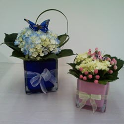 Fresh Floral Arrangements