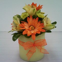 Fresh Floral Arrangements
