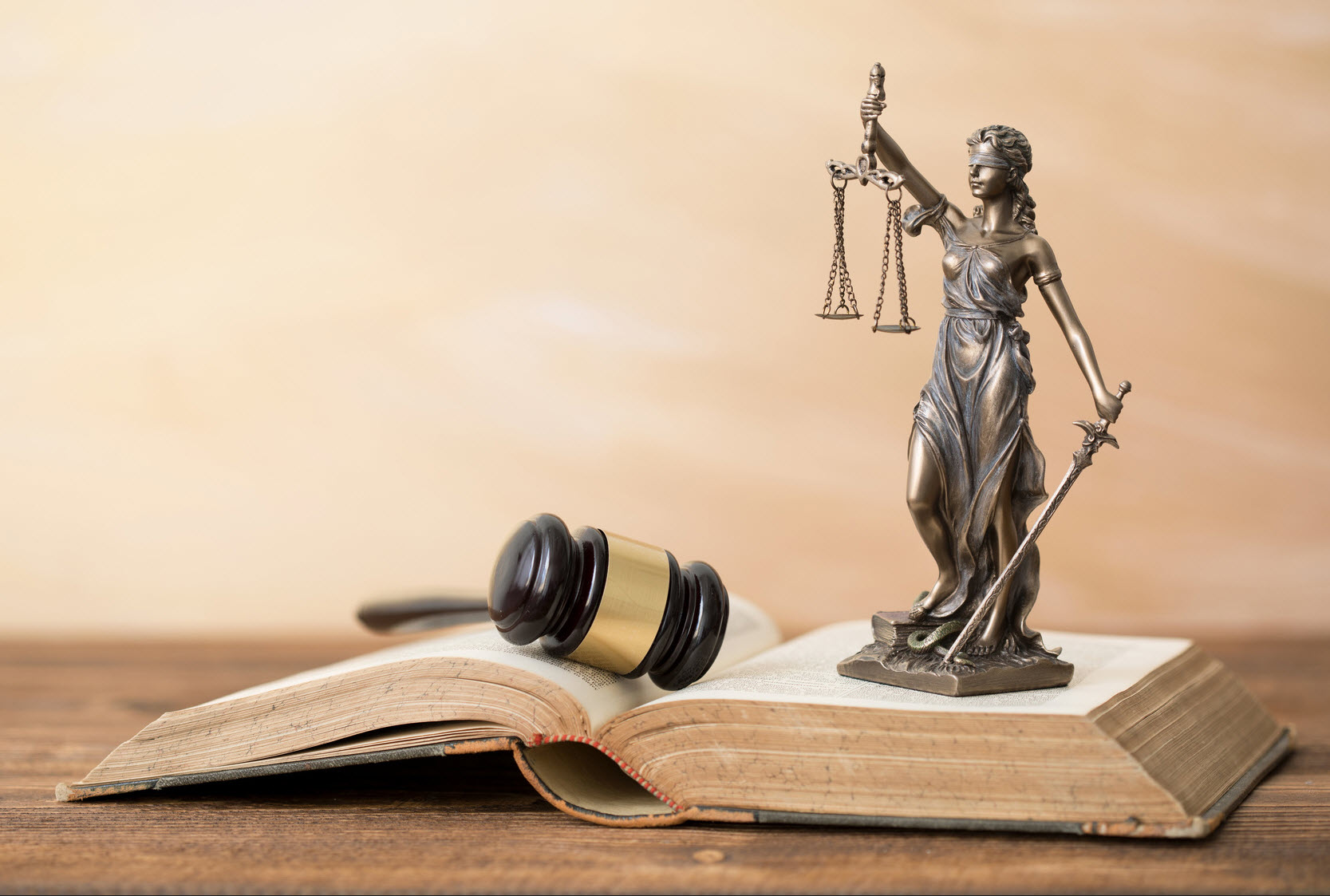 Government And Municipal Law