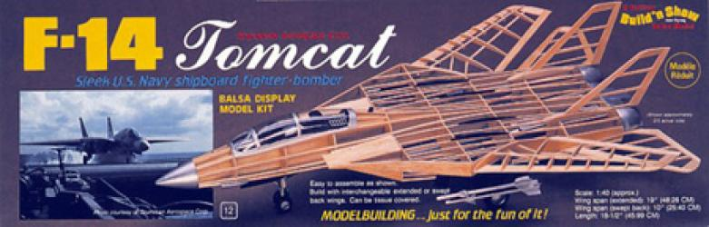 F-14 TOMCAT