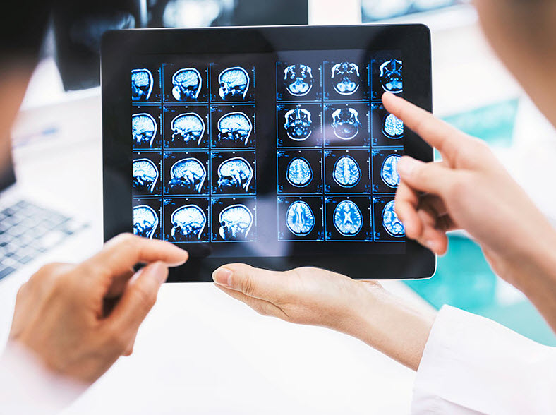 Medicine Neuroscience 