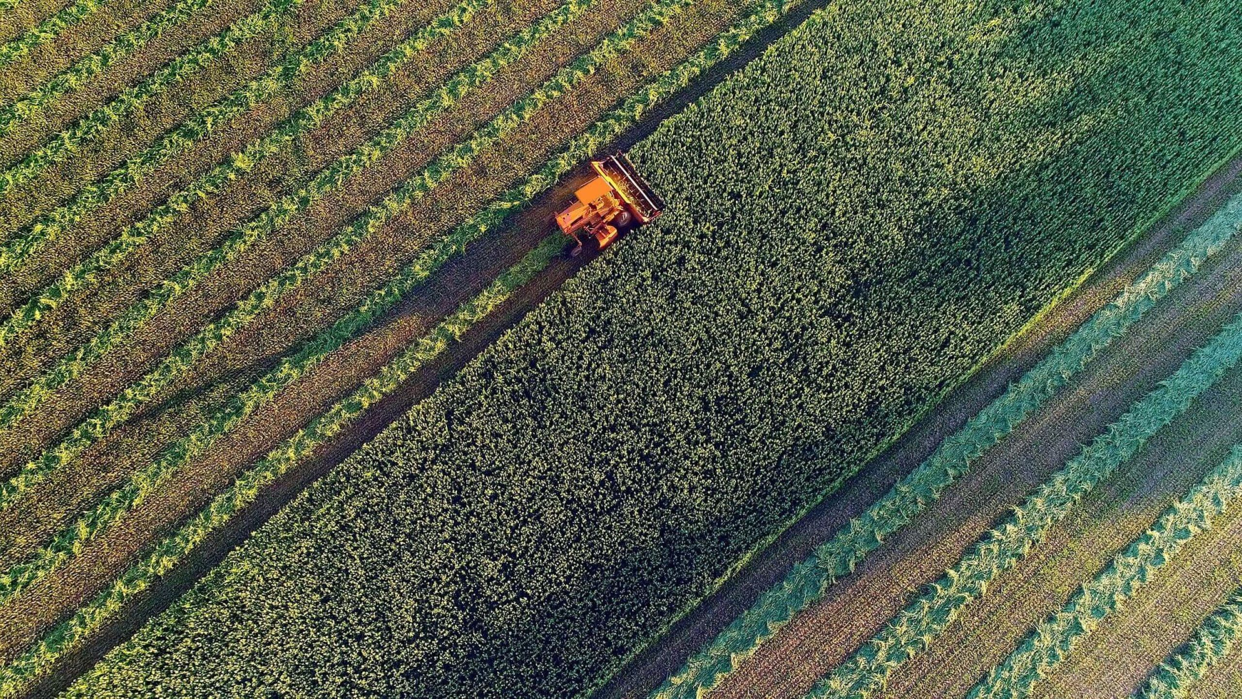 Food & Agriculture