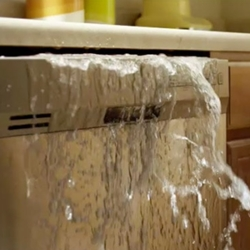Water Damage Repair and Restoration