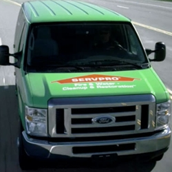 Mold Remediation and Restoration