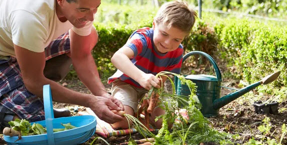 Plant Selection Consultation