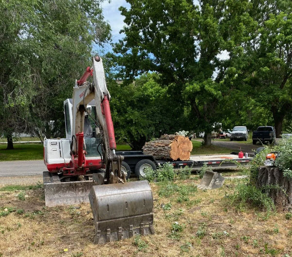 Lawn Preparation & Maintenance