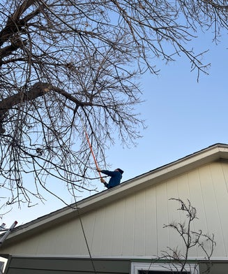 Tree Trimming