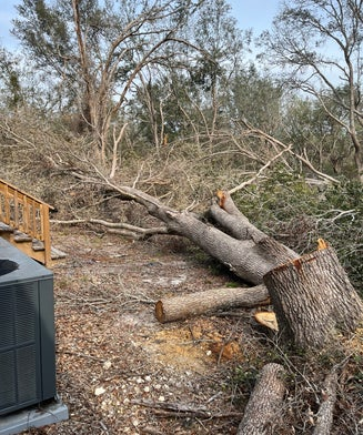 Hazard Tree Removal