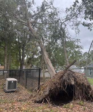 Emergency Tree Work