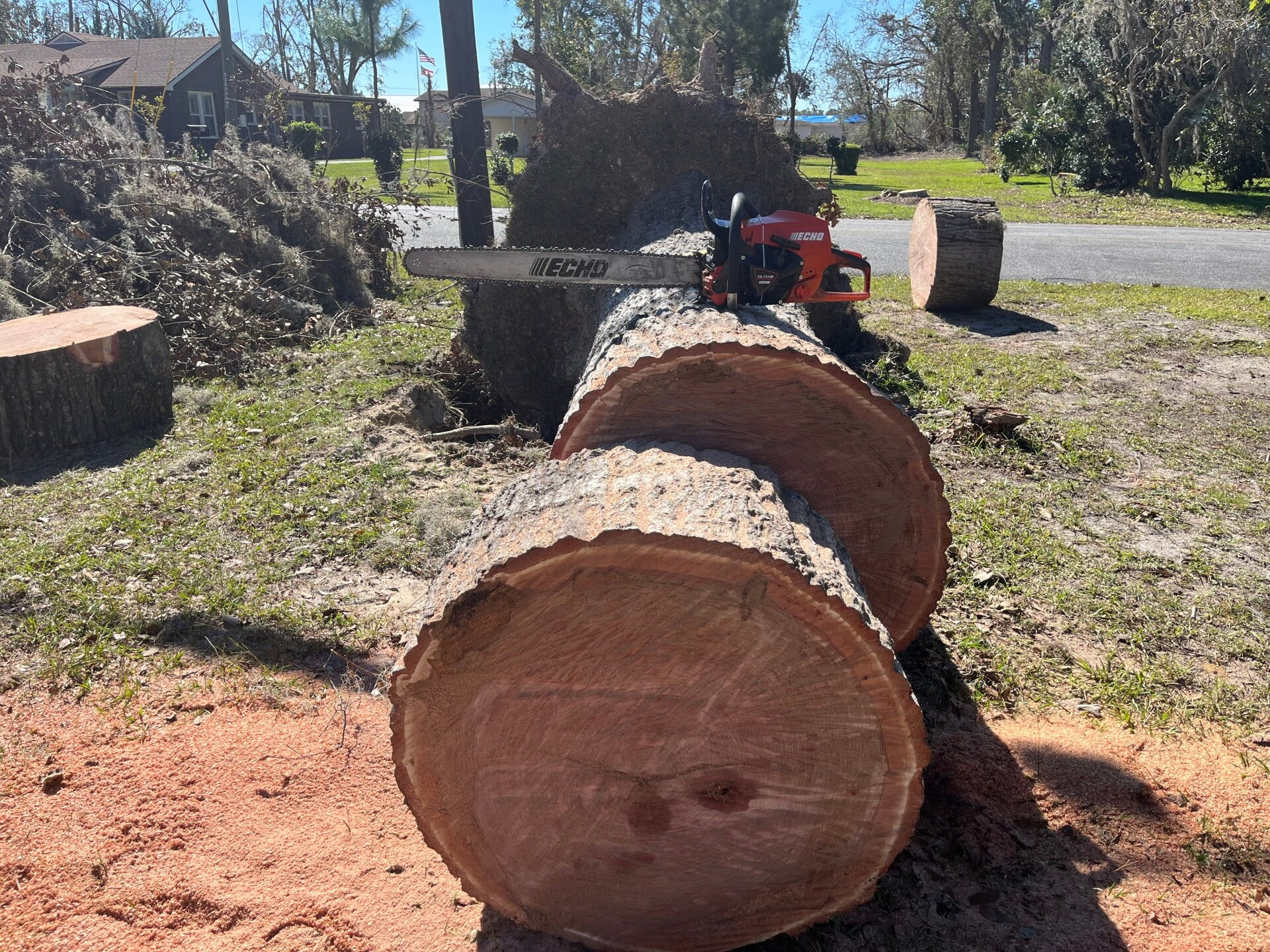 Stump Grinding