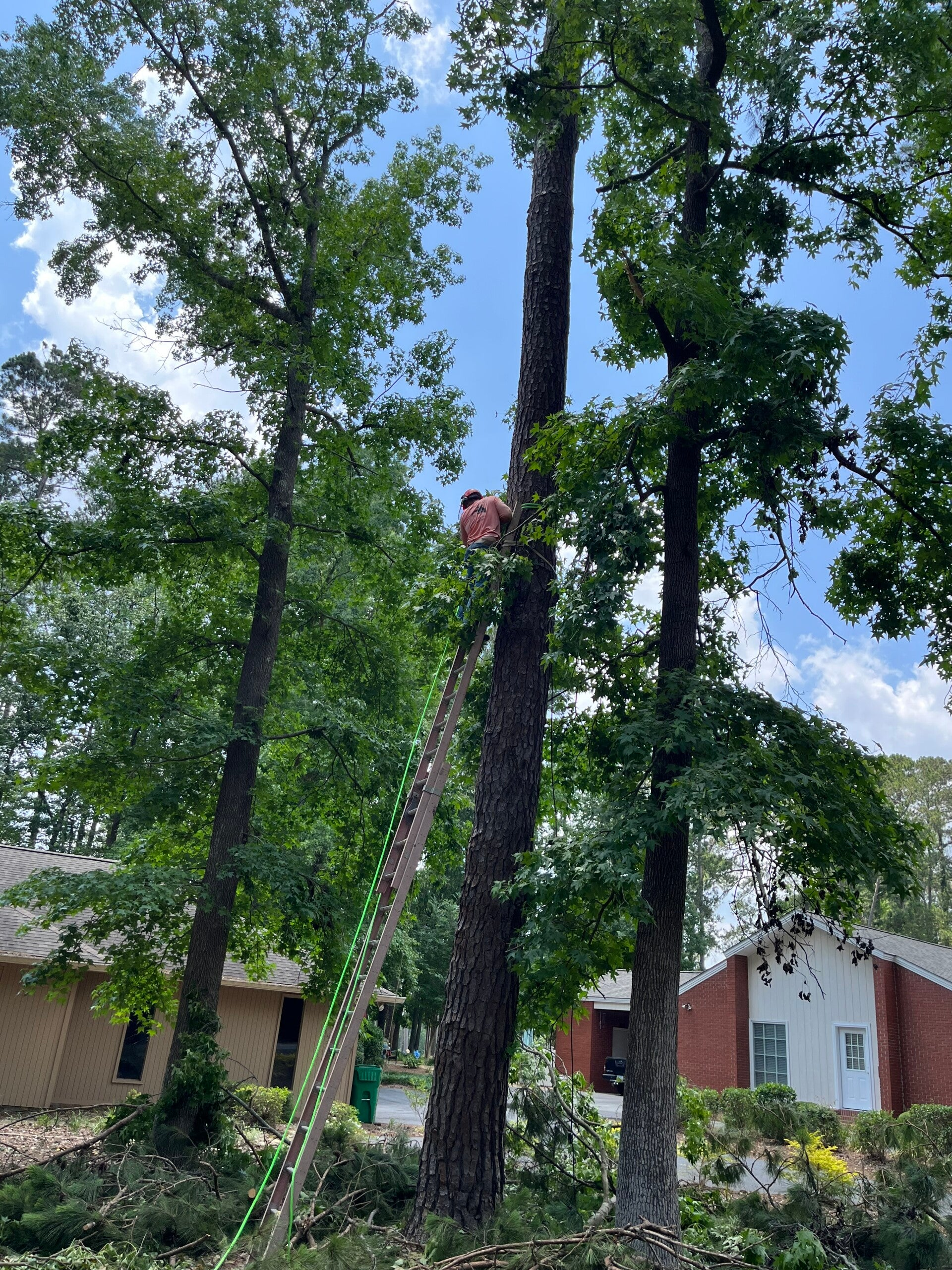 Selective Pruning
