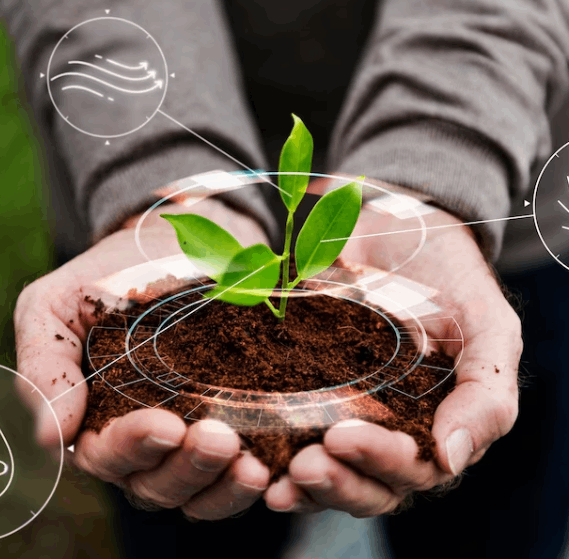 Plant Cultivation
