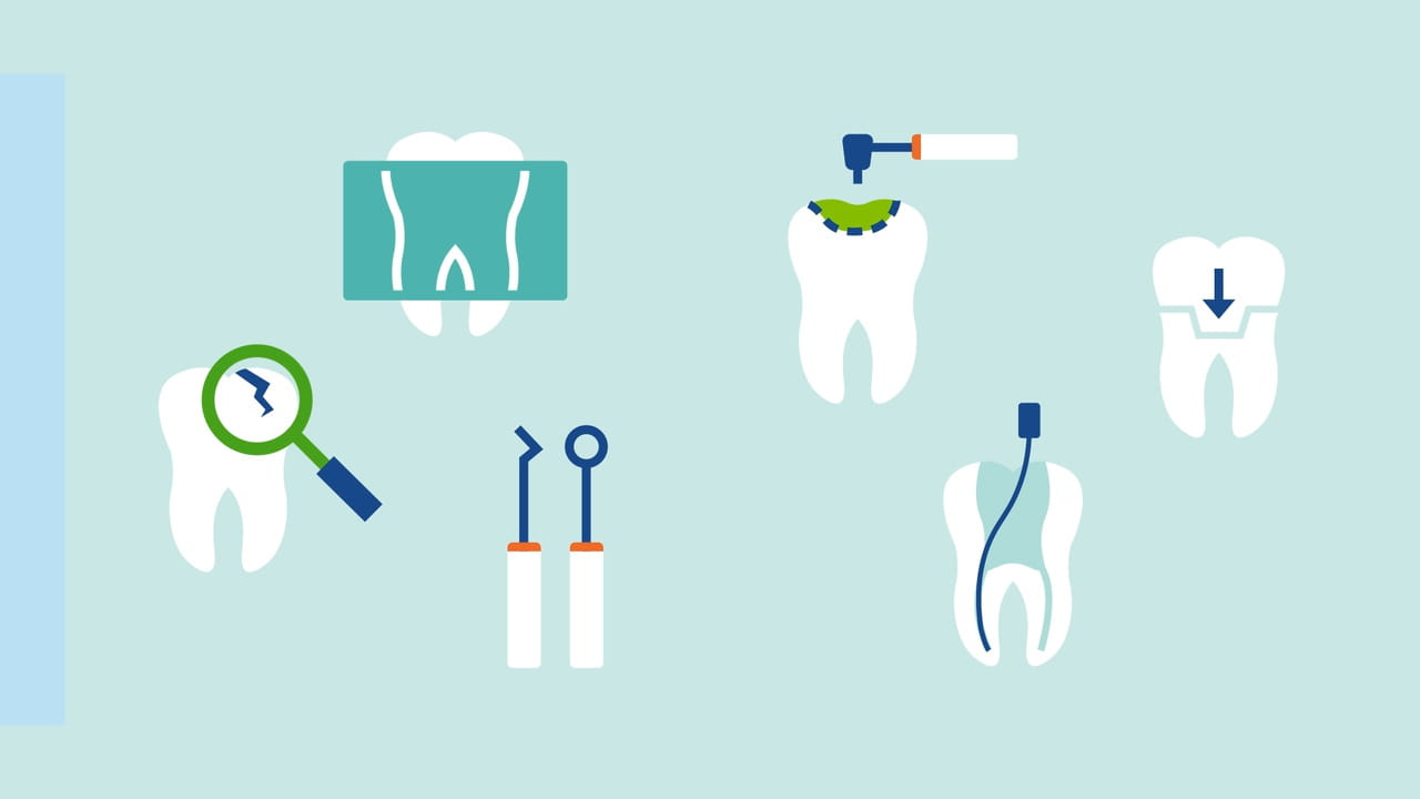 Dental Benefit