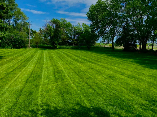 Mowing