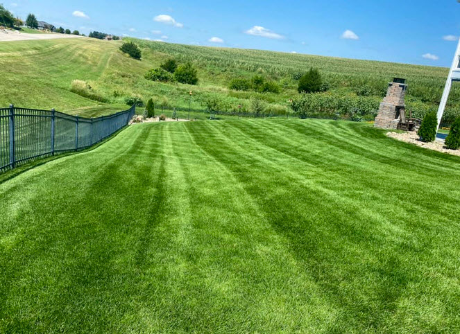 Lawn Maintenance