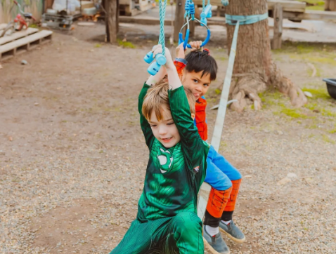 Immunization Requirements (Big School & Little School)