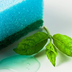 Green House Cleaning