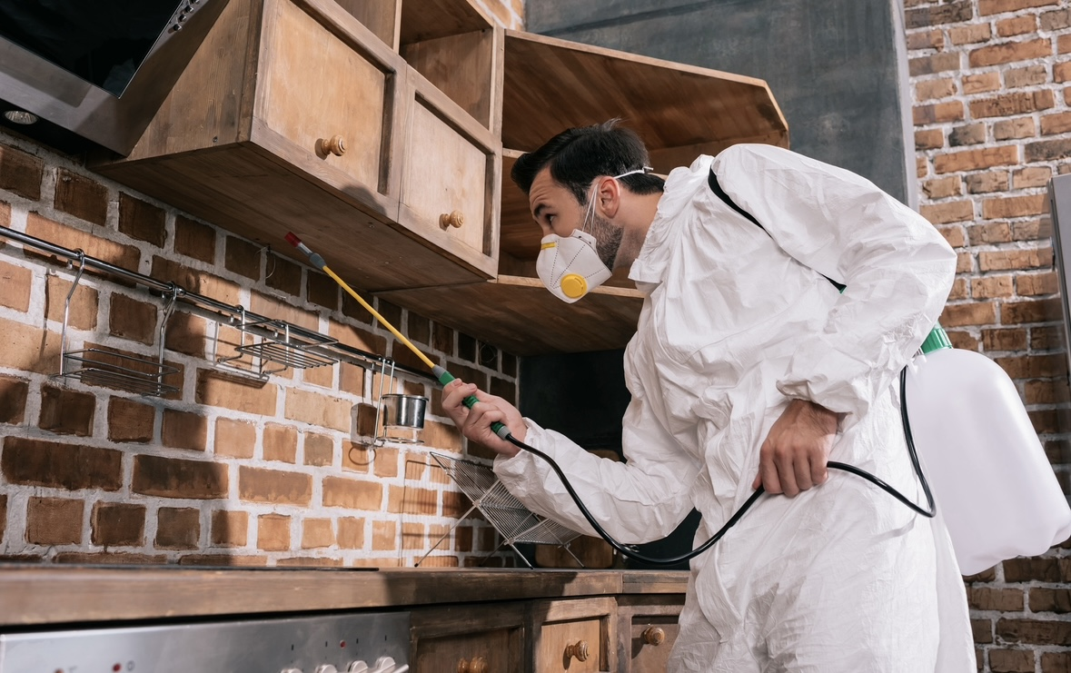 Pest Control Services