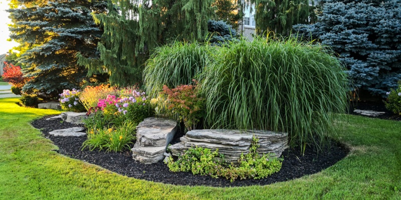 Landscape Construction