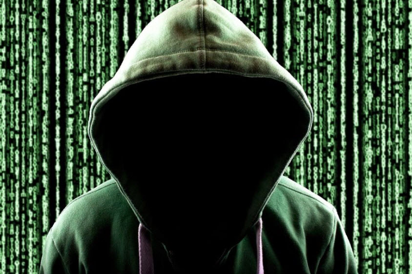Fraud Emulation