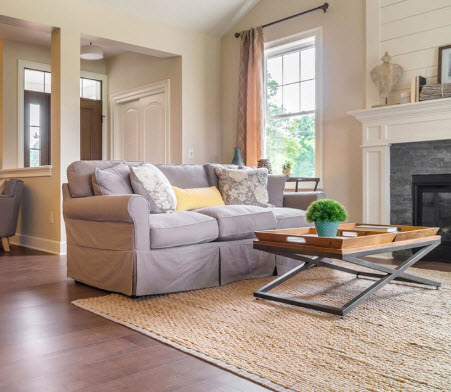 Area Rug