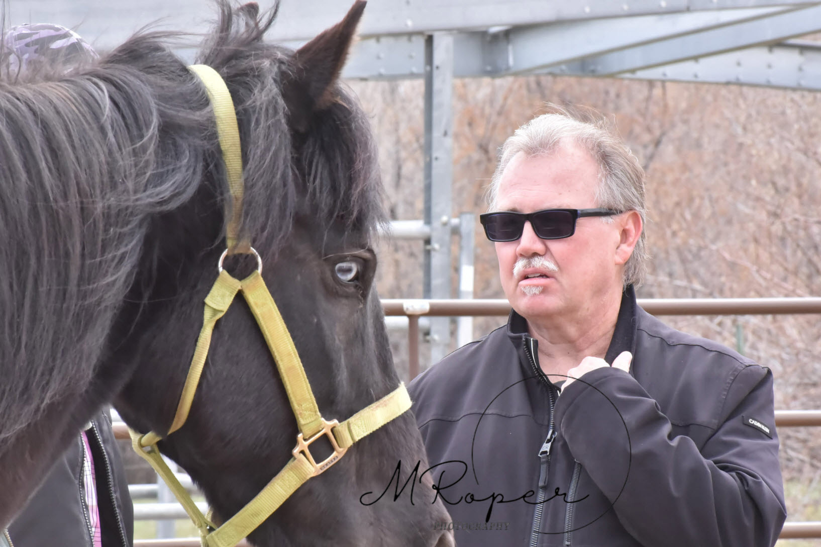 Horses and Heroes