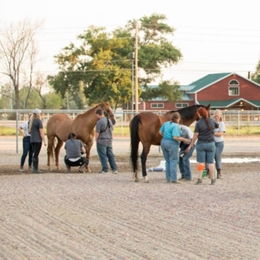 Equine-Assisted Psychotherapy