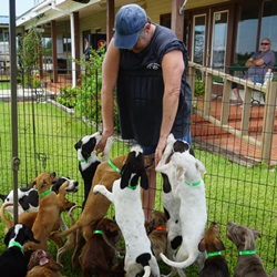 Rehoming