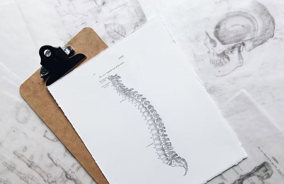 Chiropractic Care