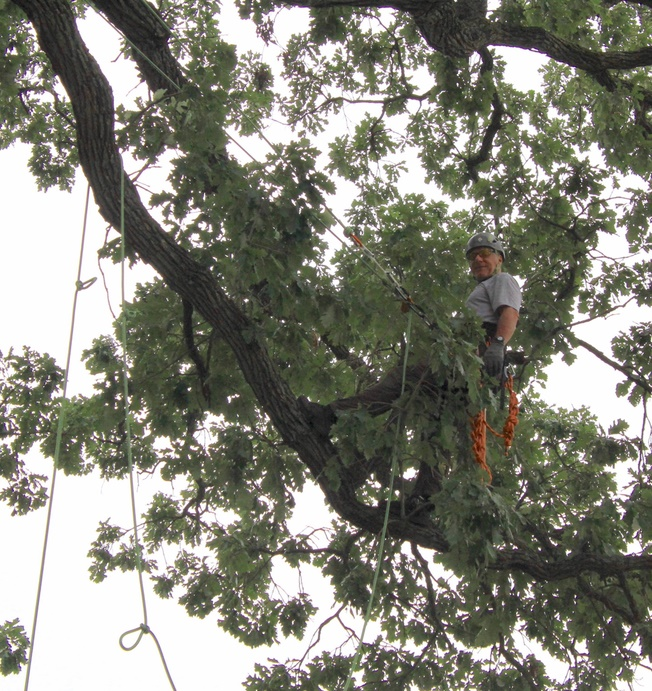 Advanced MRS Climbing