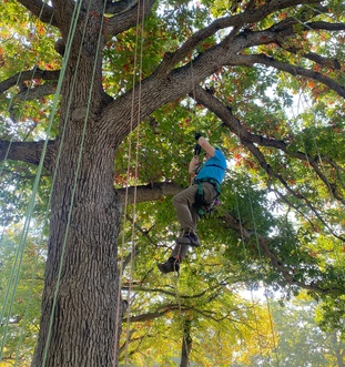 Intro to SRS Climbing
