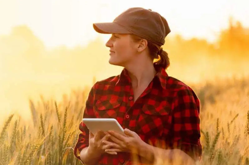 Farm and Ranch Insurance