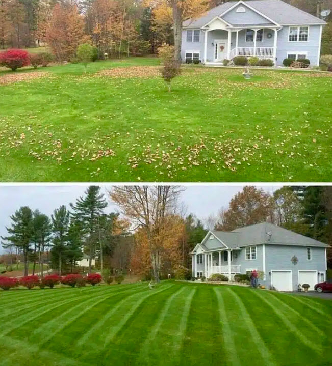 Lawn Maintenance & Lawn Care
