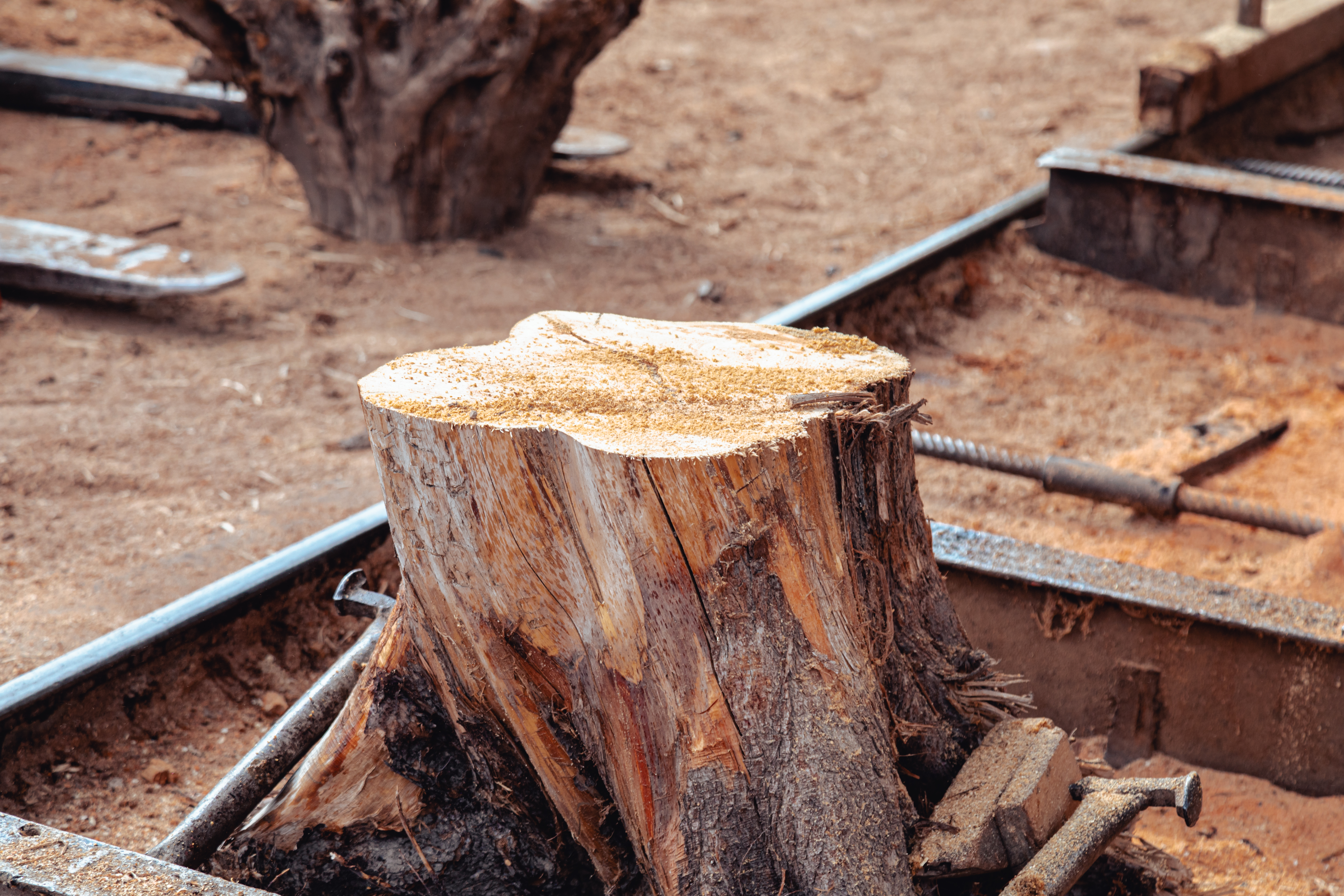 Stump Removal
