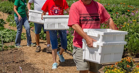 Master Gardener Program