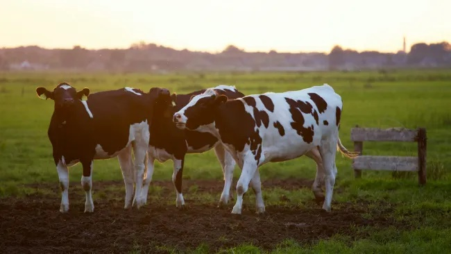 Small Farms Programs