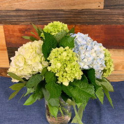 Everyday Flower