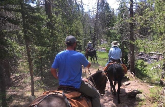 Horseback Rides