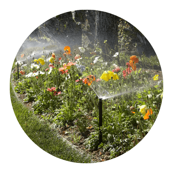 Irrigation Services