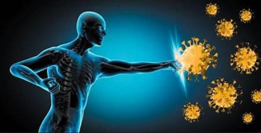 Immune Charge