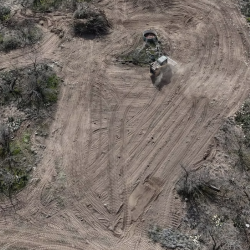 Brush Clearing