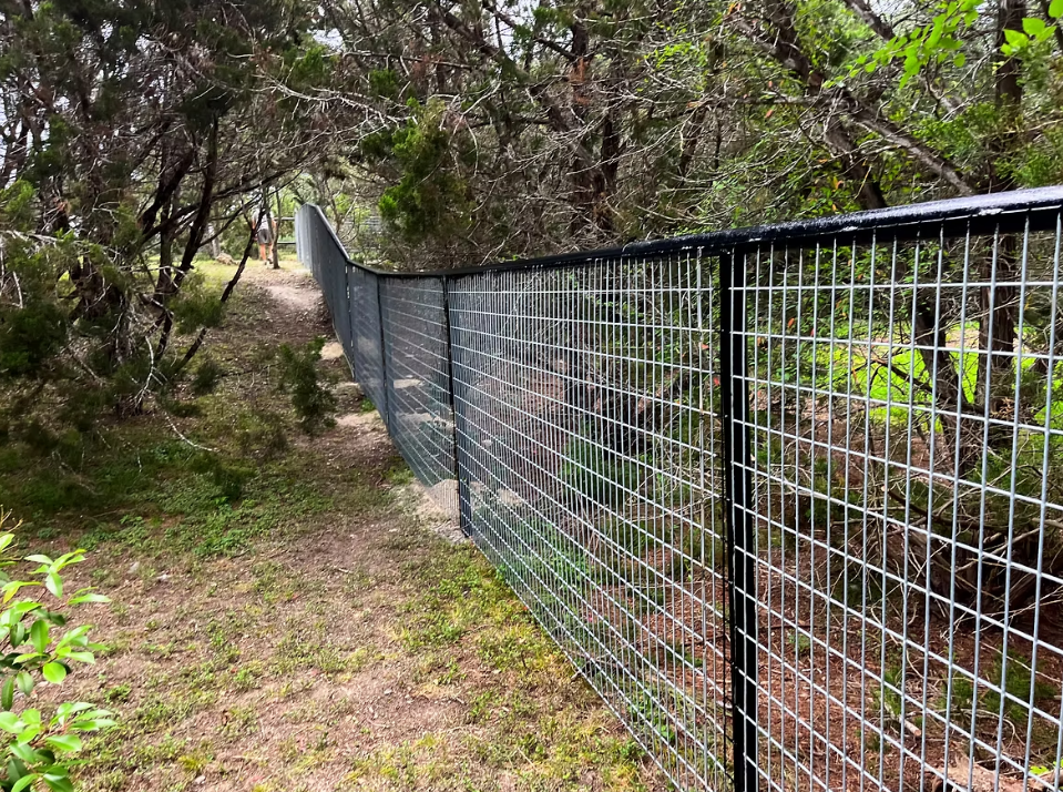 Fencing