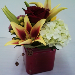 Fresh Floral Arrangements