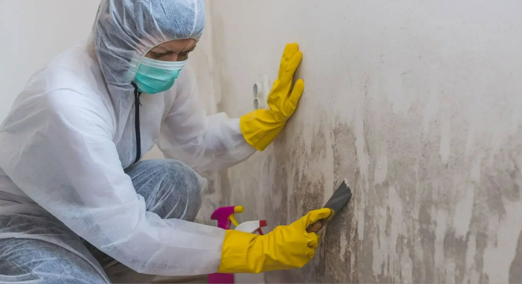 Mold Remediation
