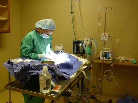 Surgery