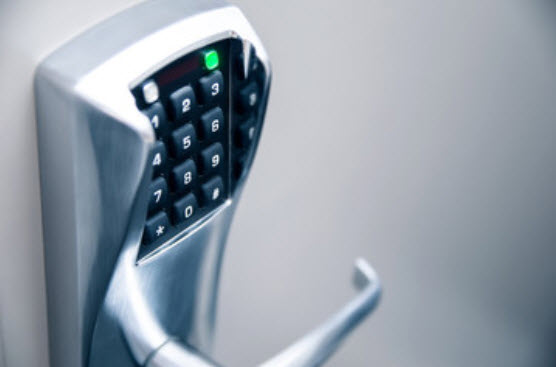 Door Lock Batteries