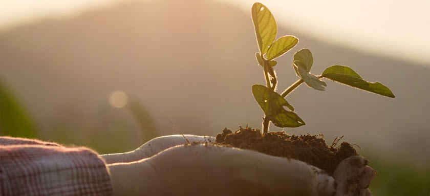 Sustainability