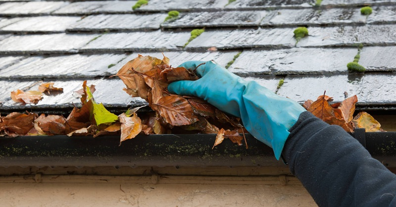 Gutter Cleaning & Repair