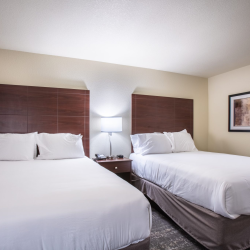 Modern Rooms